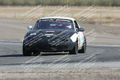 media/Oct-21-2023-Speed Ventures (Sat) [[ddf75163c5]]/Green/Grapvine/